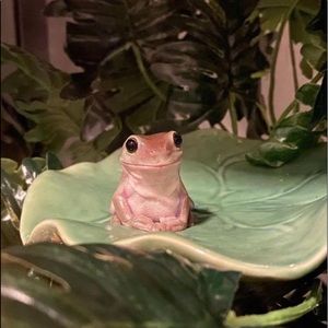 Meet your Posher, Holly